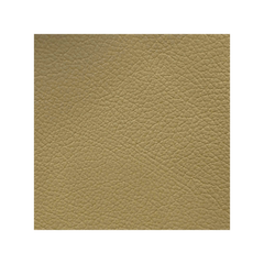 TAUPE LEATHER P.CAR 17