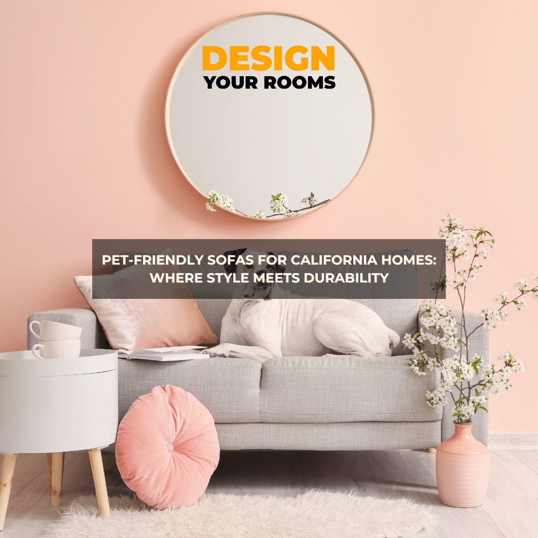 🐾Pet-Friendly Sofas for California Homes: Where Style Meets Durability