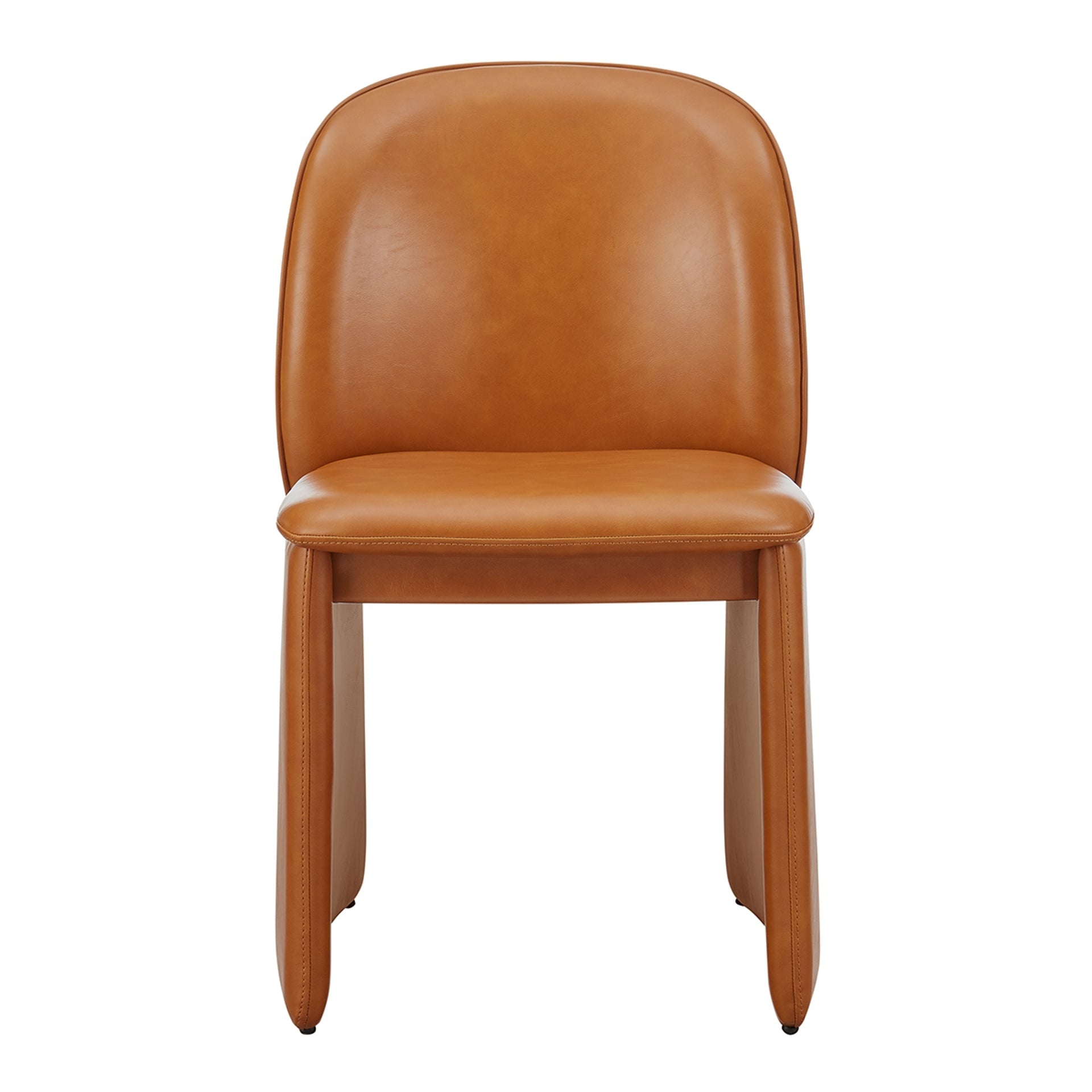 Shelby  Dining Side Chair (Set of 2)