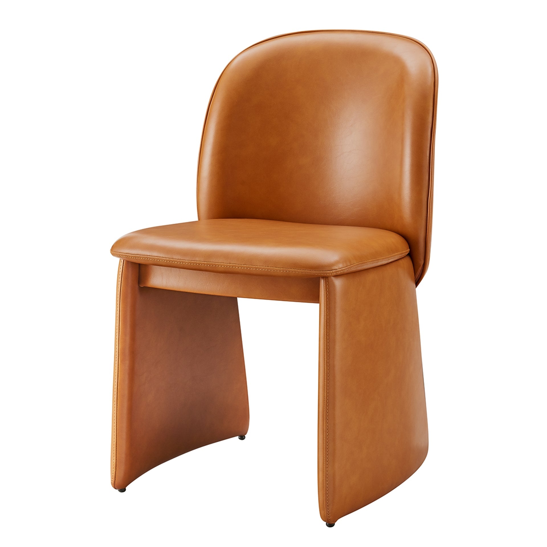 Shelby  Dining Side Chair (Set of 2) - What A Room
