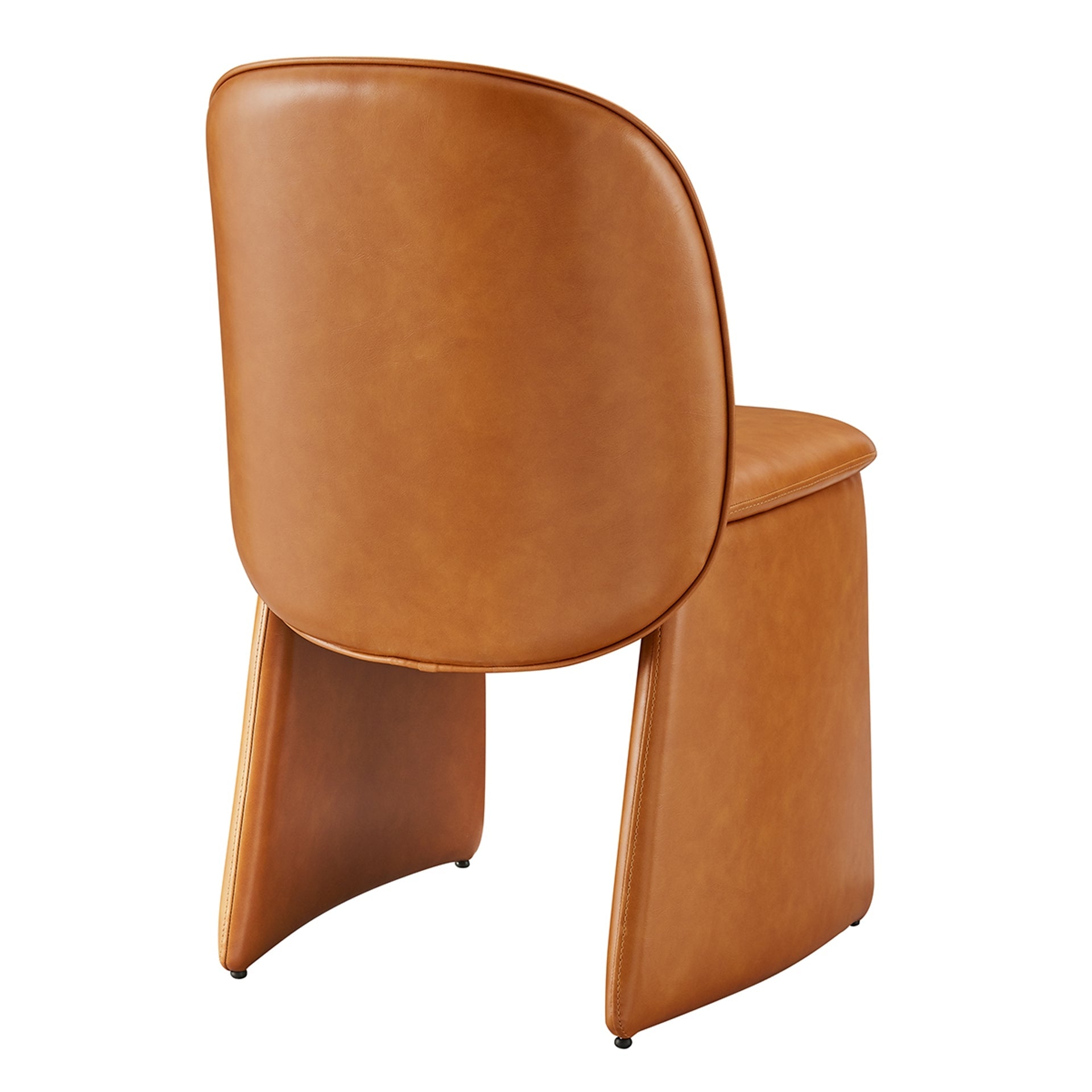 Shelby  Dining Side Chair (Set of 2)