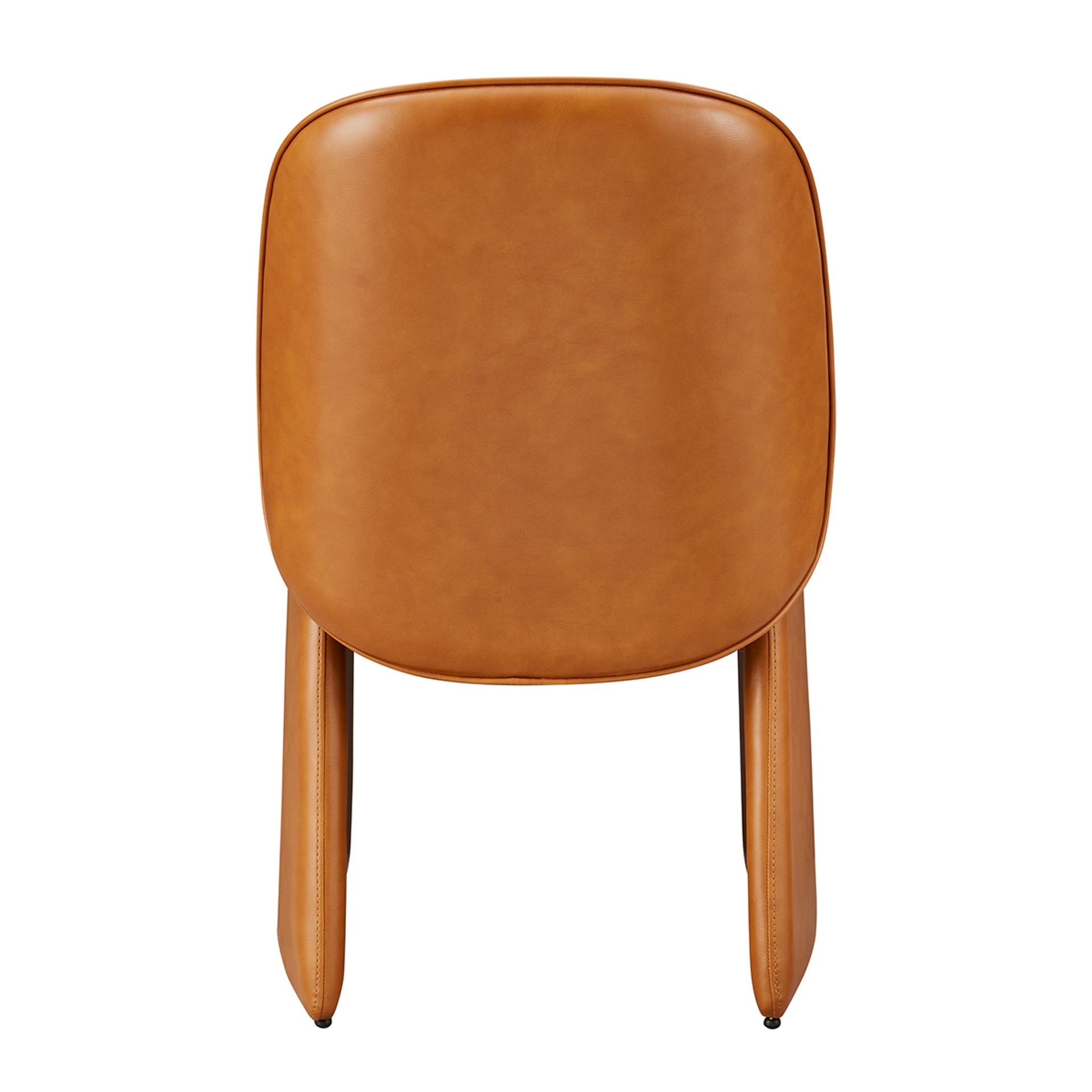 Shelby  Dining Side Chair (Set of 2)