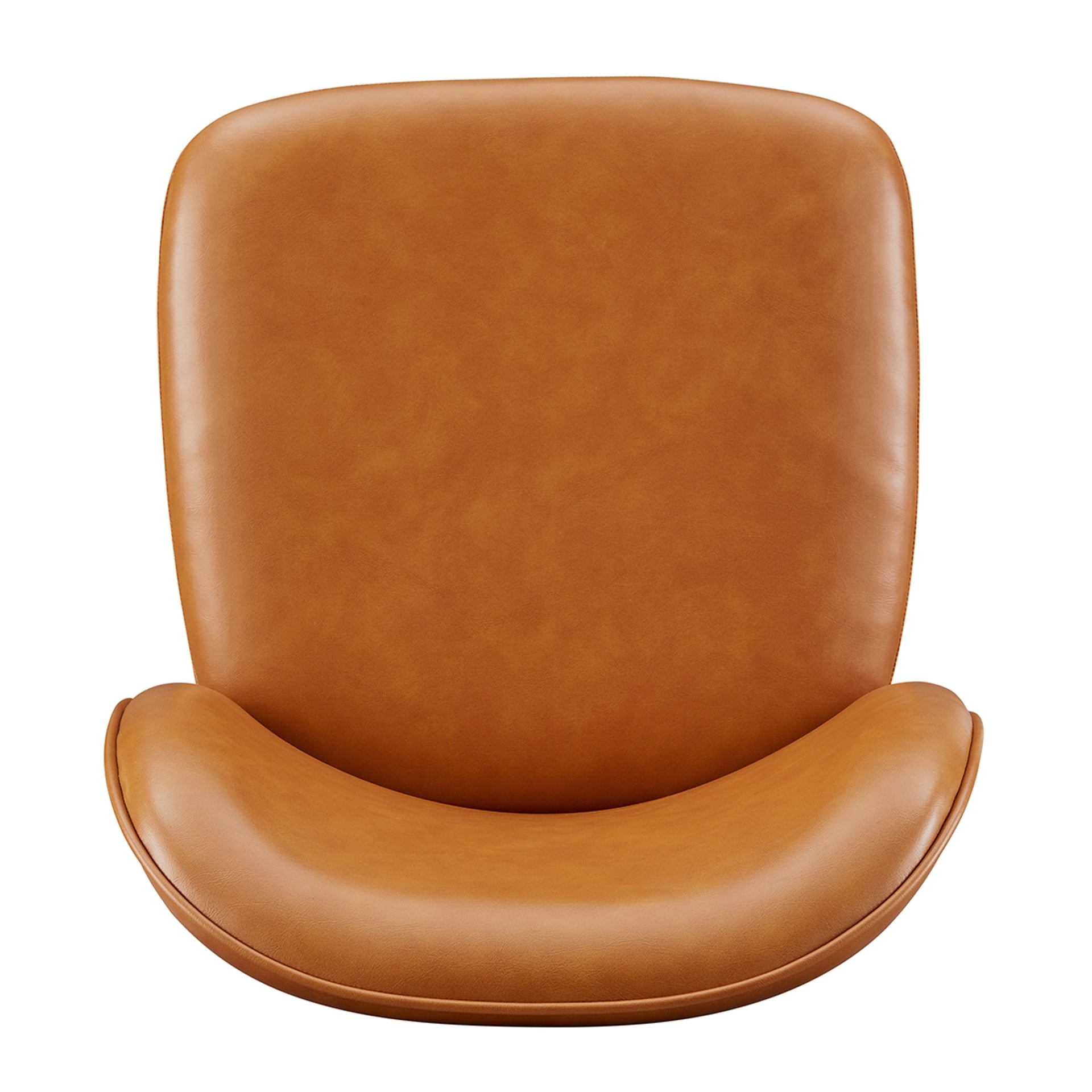 Shelby  Dining Side Chair (Set of 2)