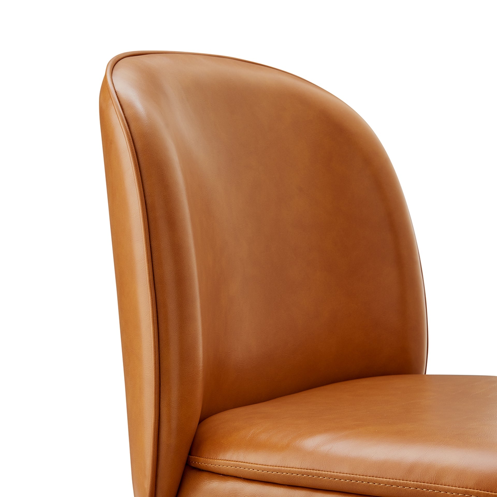 Shelby  Dining Side Chair (Set of 2)