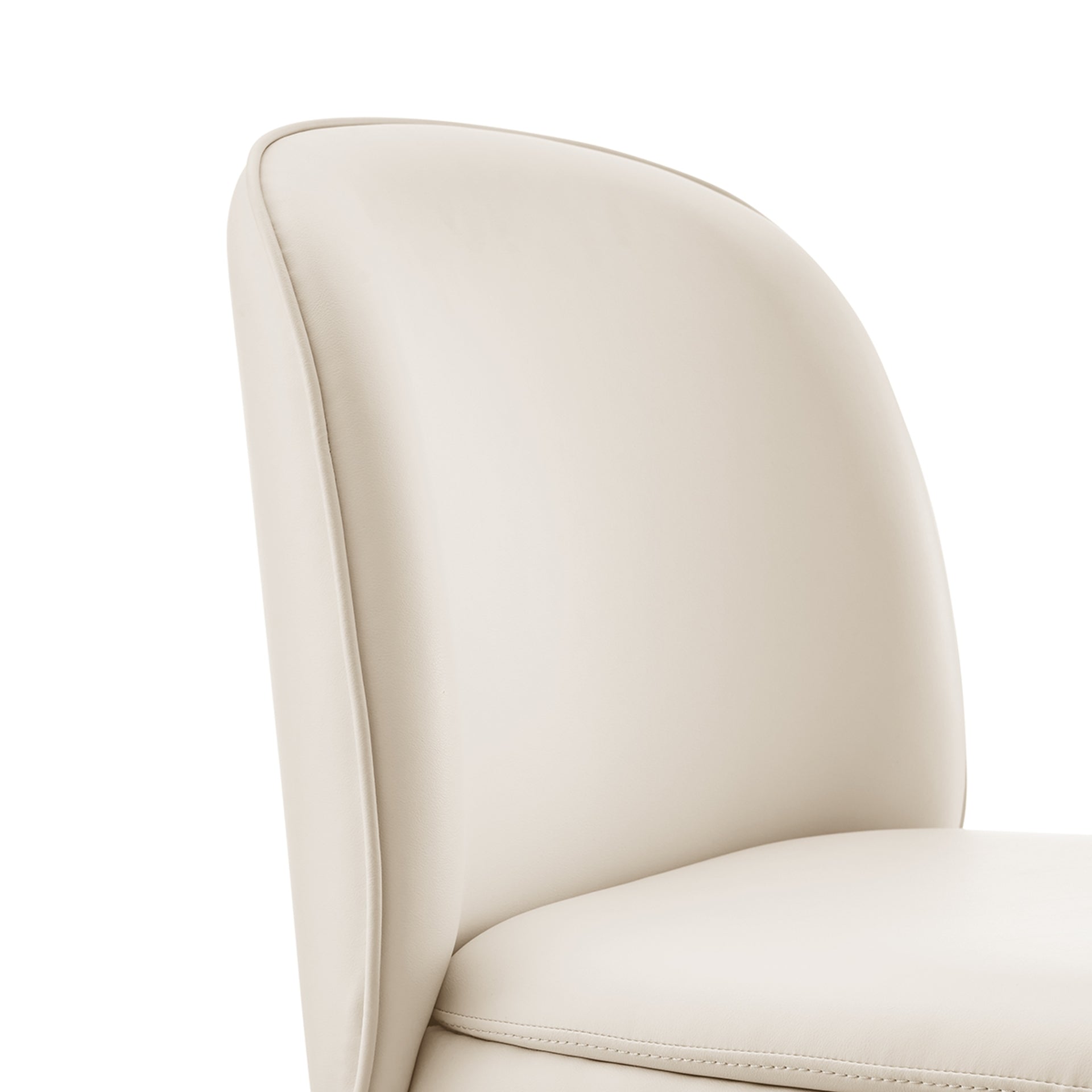 Shelby  Dining Side Chair (Set of 2)