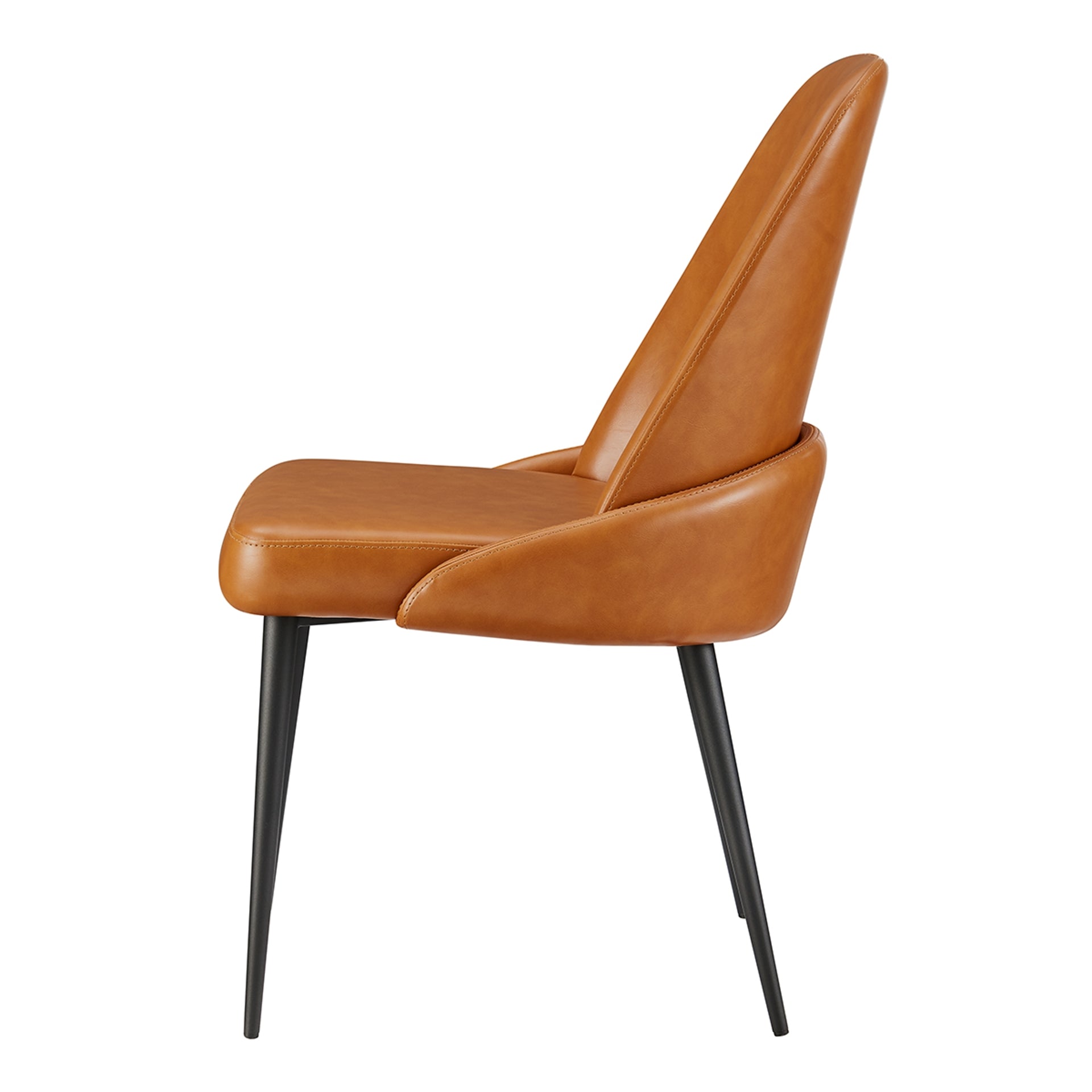 Elodie   Dining Side Chair (Set of 2)