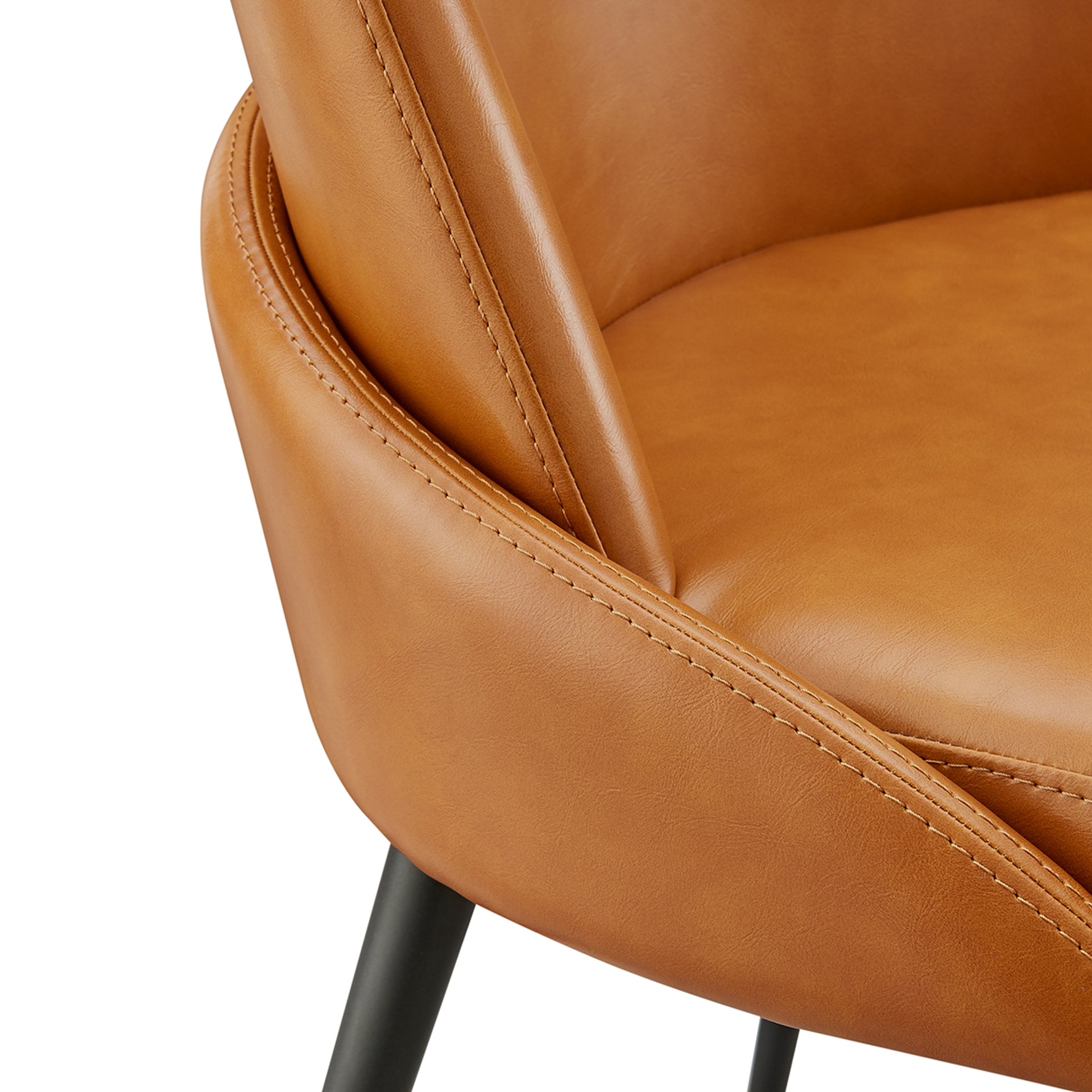 Elodie   Dining Side Chair (Set of 2)