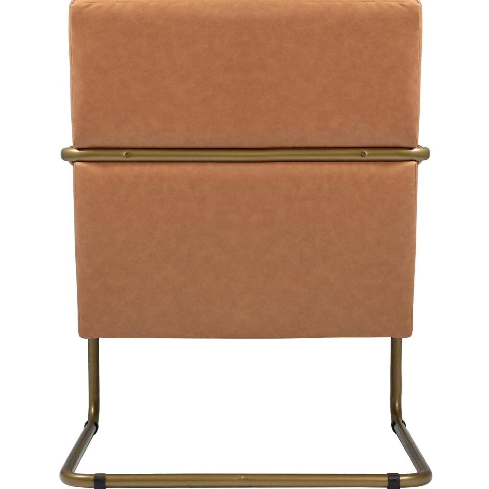 Peyton  Accent Arm Chair Gold Frame