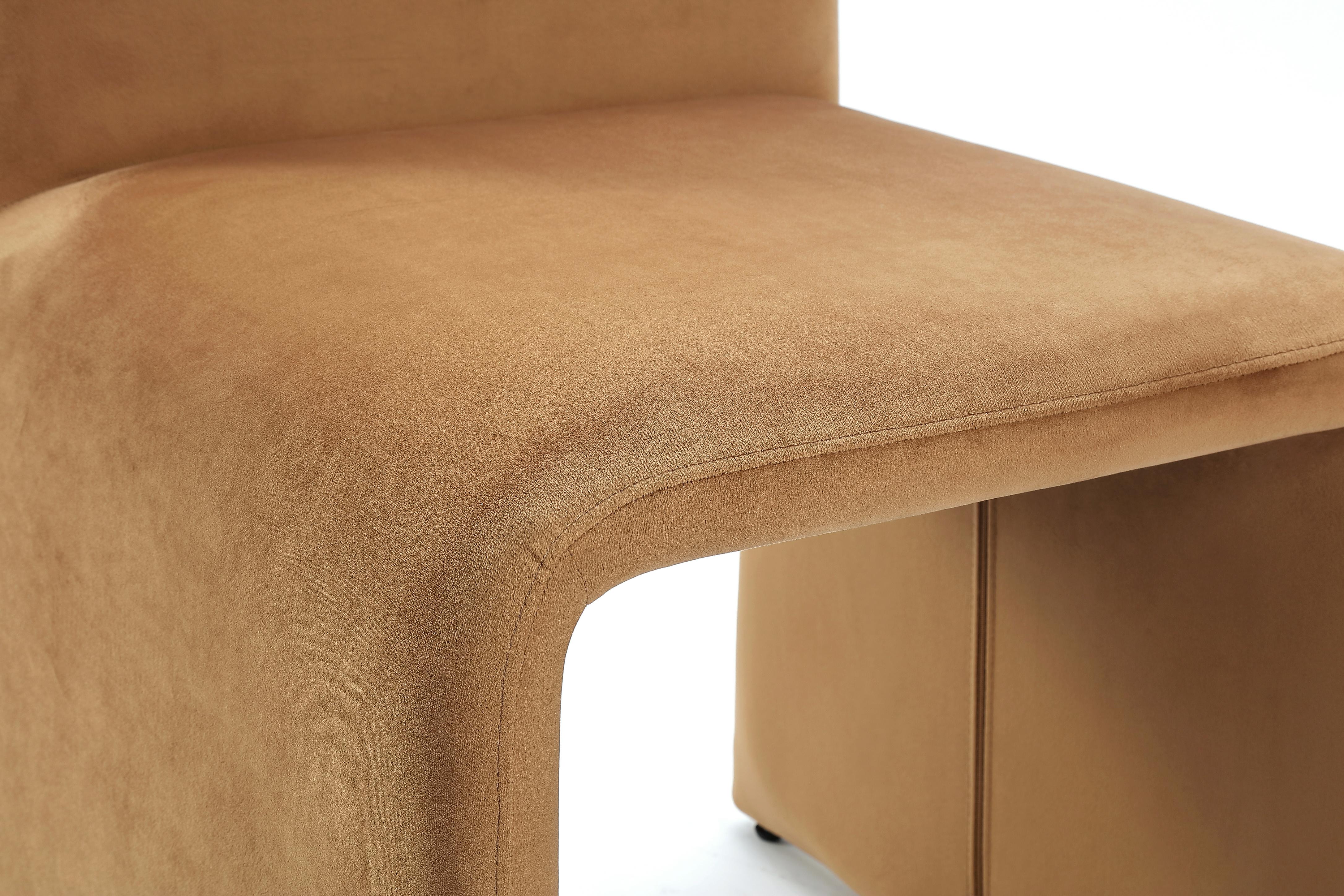 Winston Fully Upholstered Side chair in Whiskey Velvet (Set of 2)
