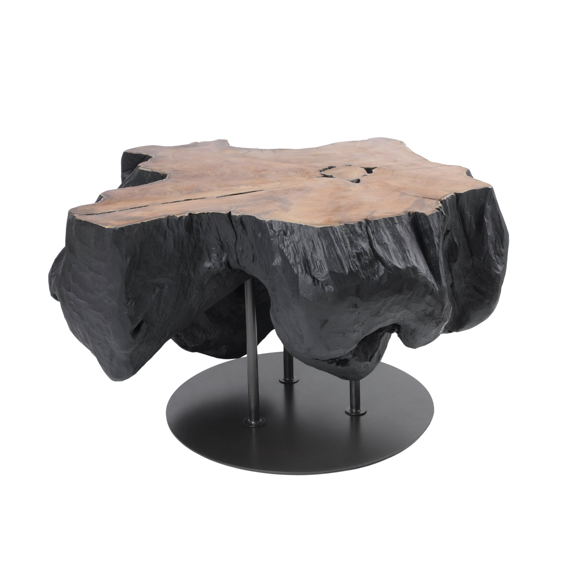 Lenna  31.5" Recycled Teak Root End/ Coffee Table