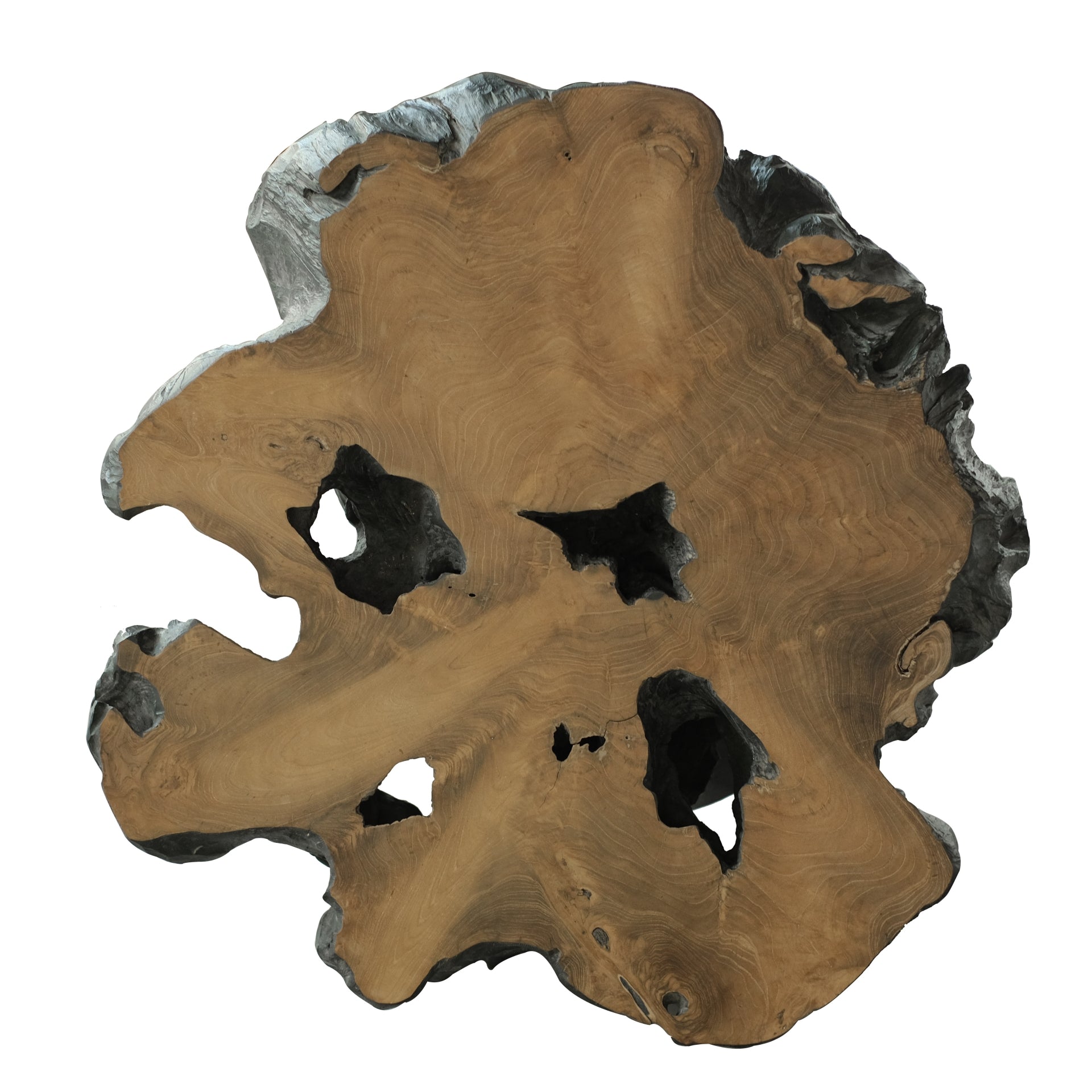 Lenna  31.5" Recycled Teak Root End/ Coffee Table