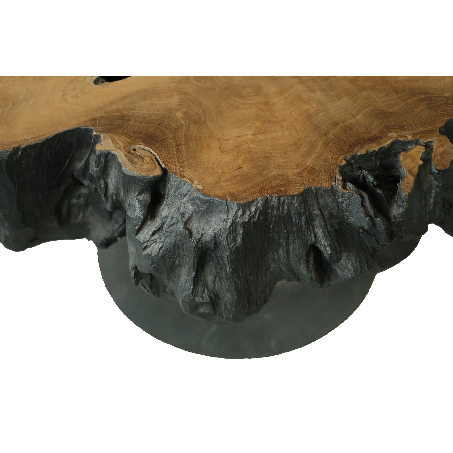 Lenna  31.5" Recycled Teak Root End/ Coffee Table