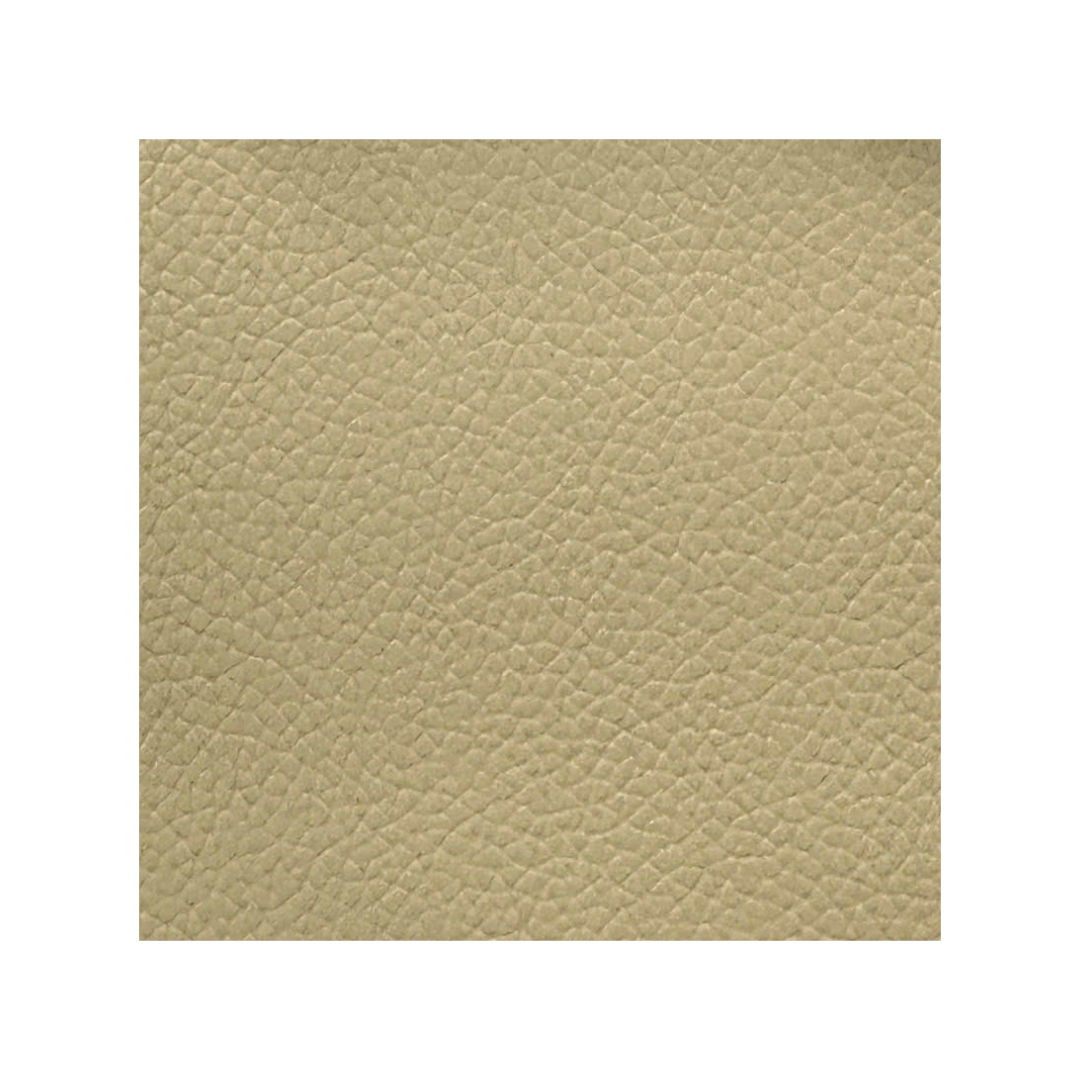TAUPE LEATHER P.CAR PB.02