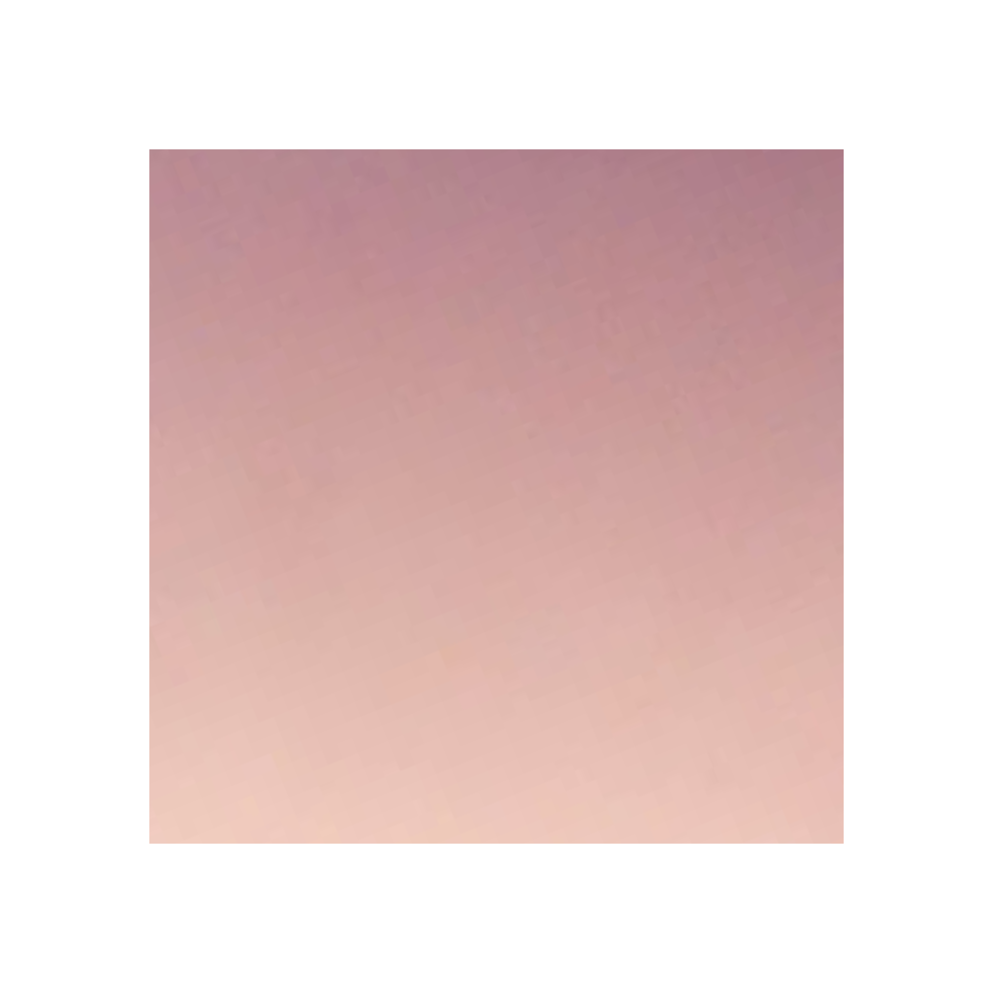 Rose - Gold Mirror Steel