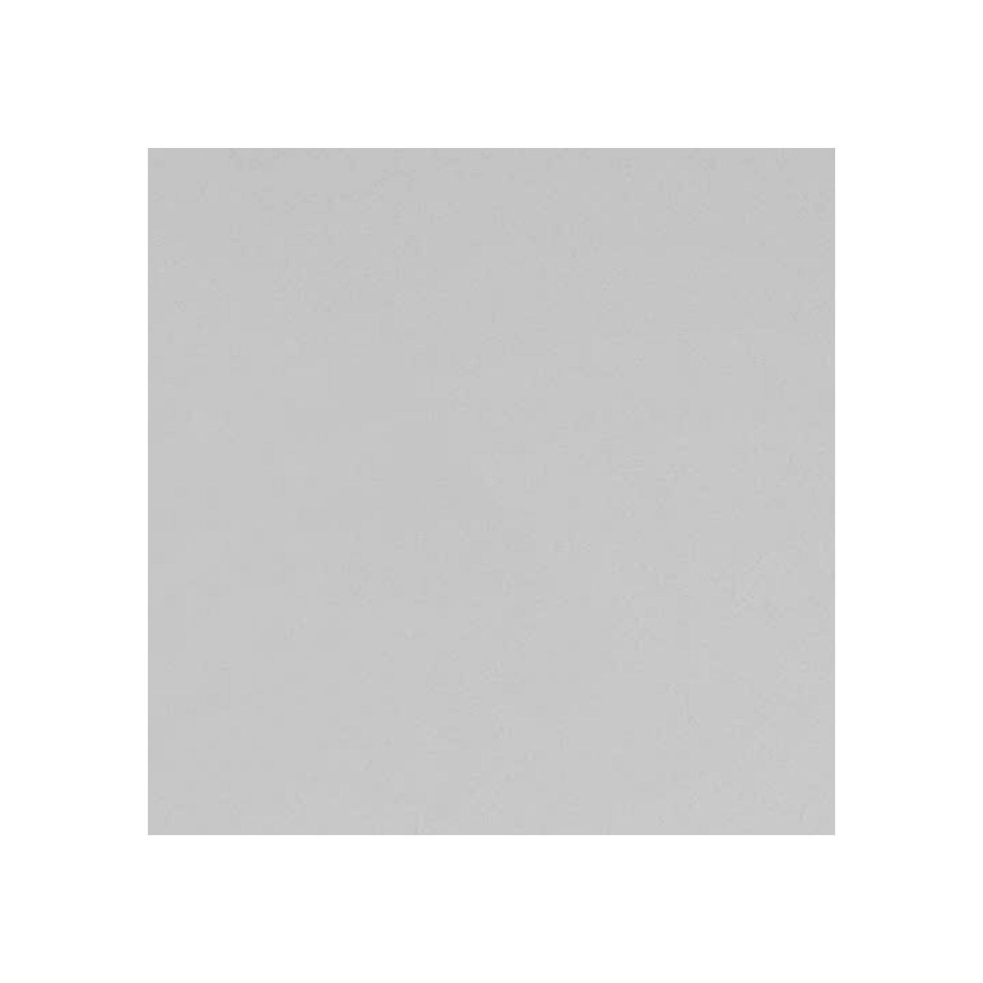 Silver Mirror Steel