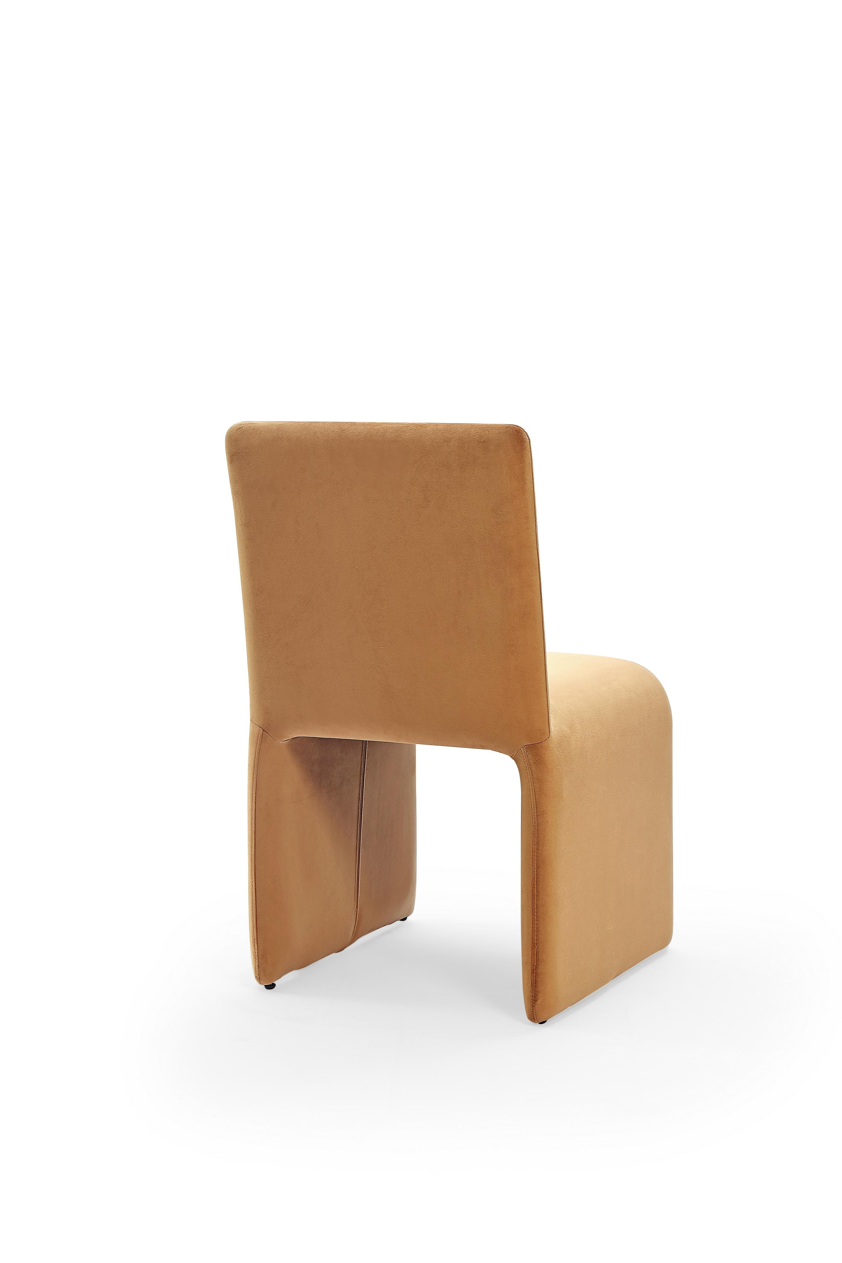 Winston Fully Upholstered Side chair in Whiskey Velvet (Set of 2)