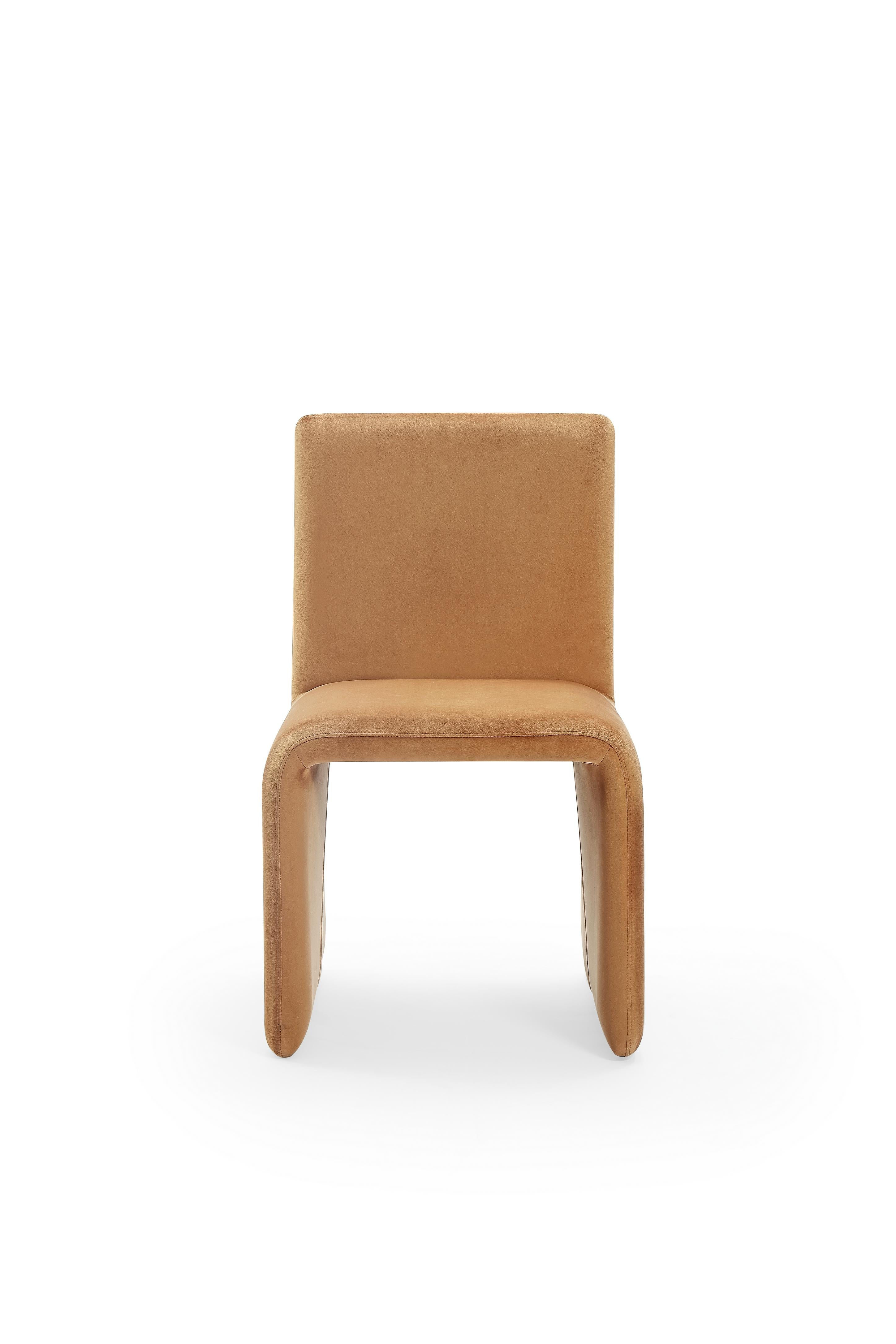 Winston Fully Upholstered Side chair in Whiskey Velvet (Set of 2)