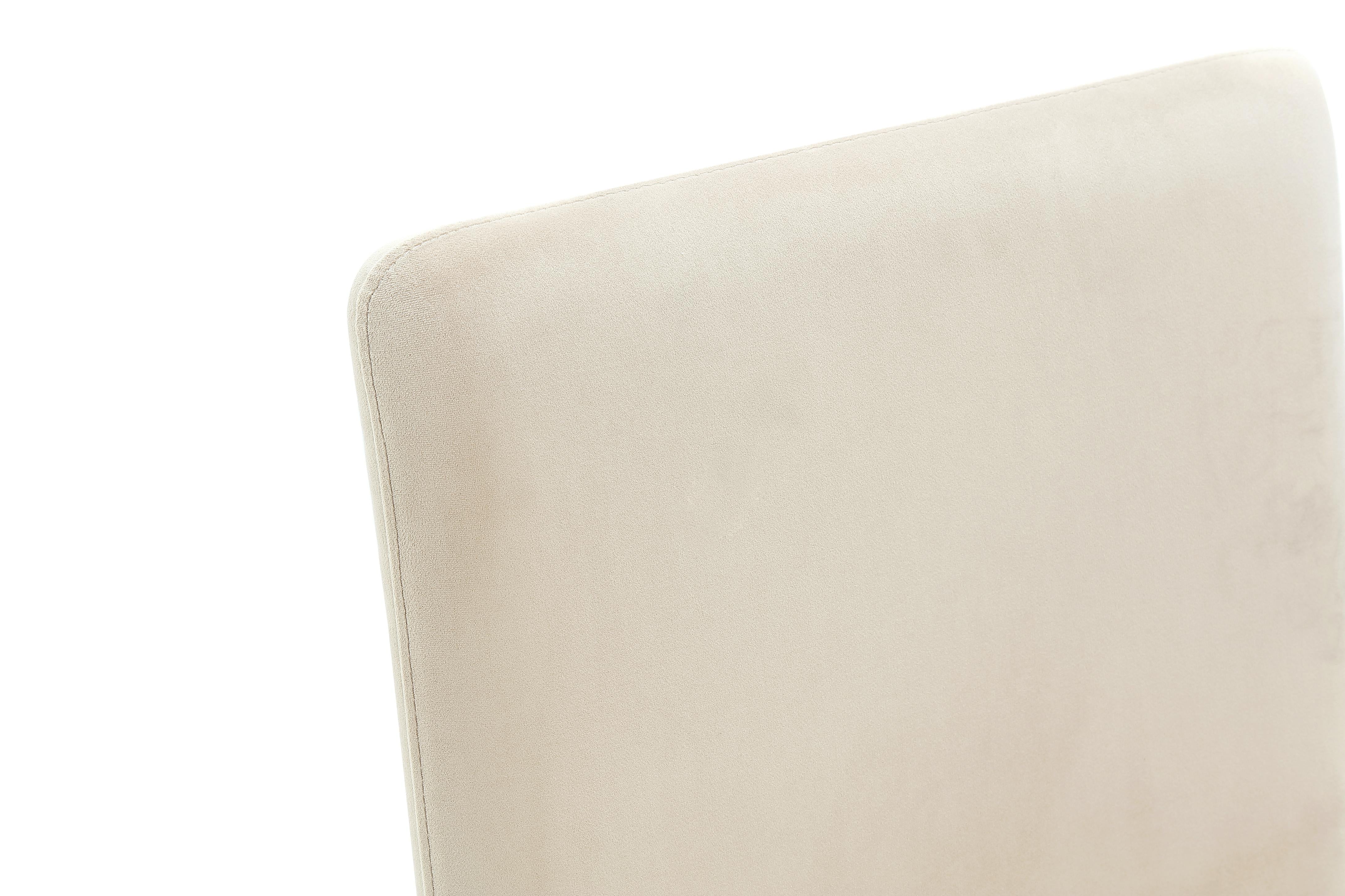 Winston Fully Upholstered Side chair in Sand Velvet (Set of 2)