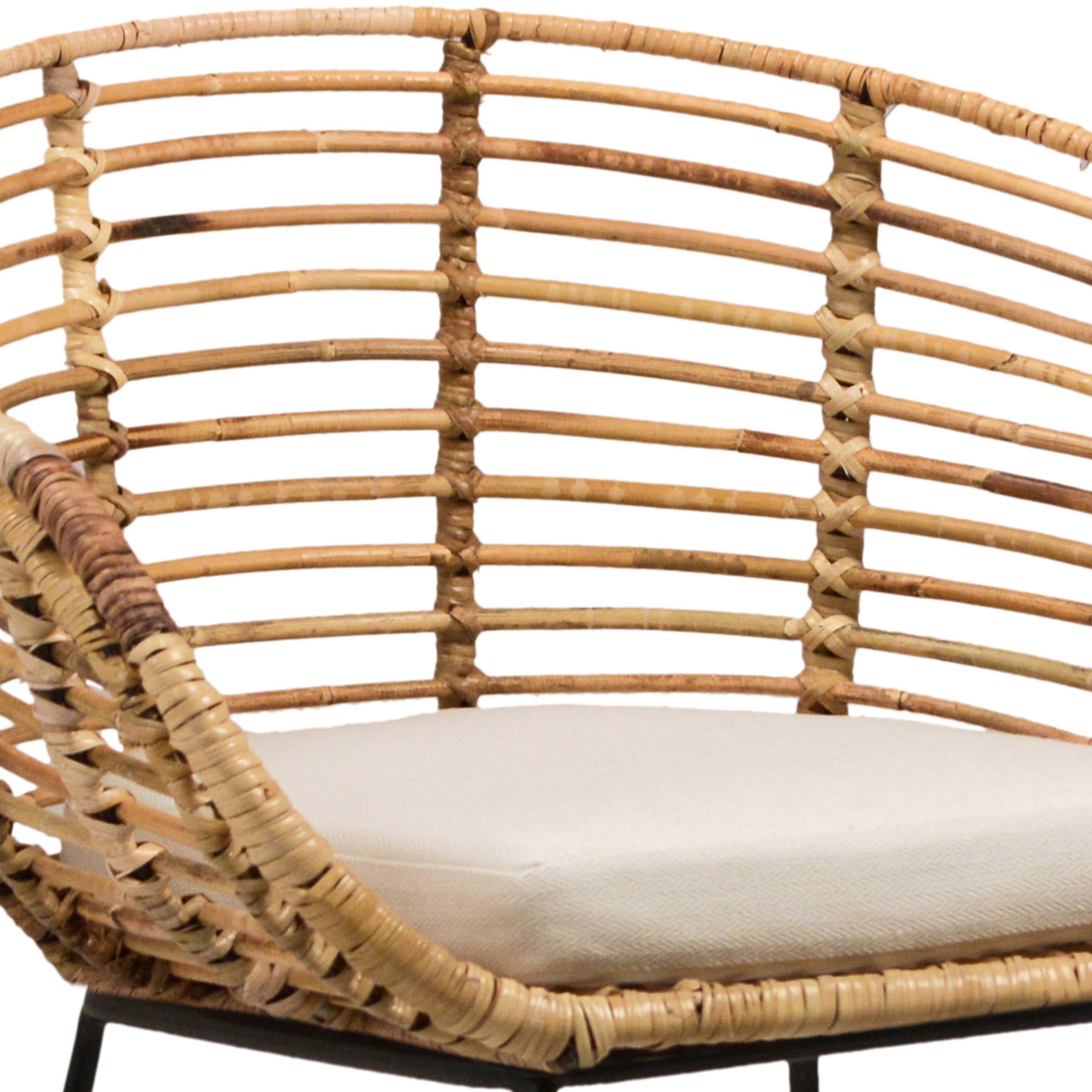 Pablo Dining Chair
