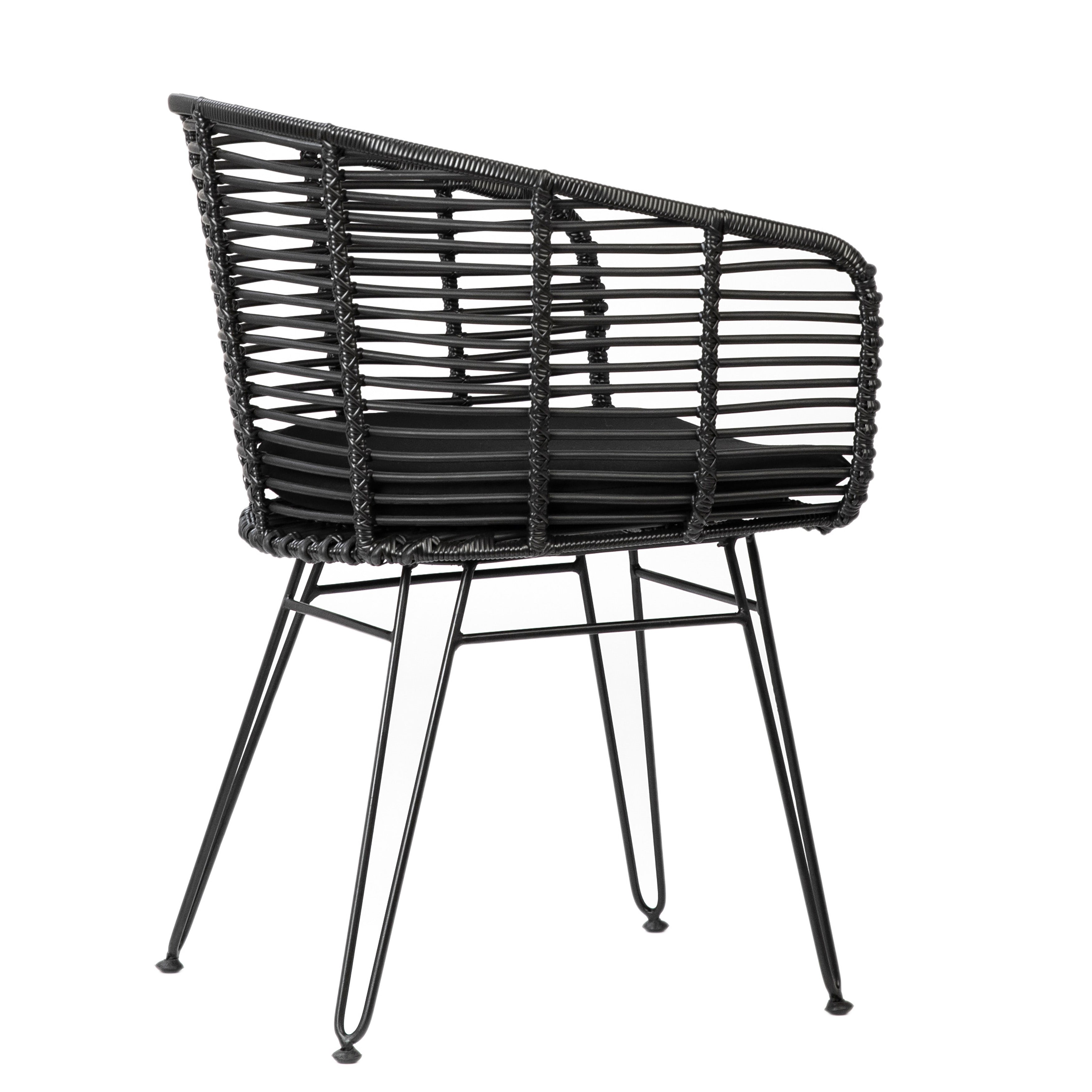 Ishani Outdoor Dining Chair Set of 2