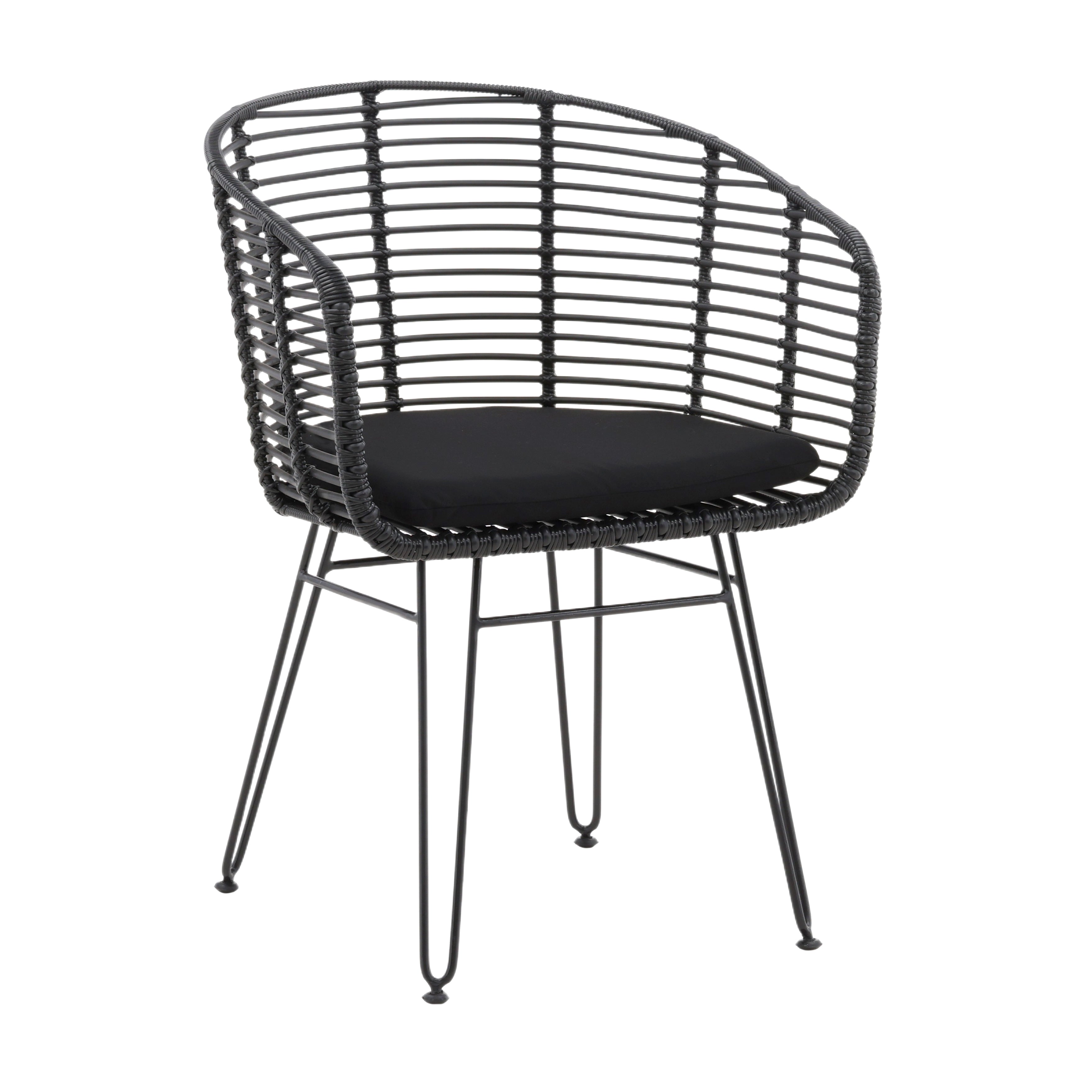 Ishani Outdoor Dining Chair Set of 2