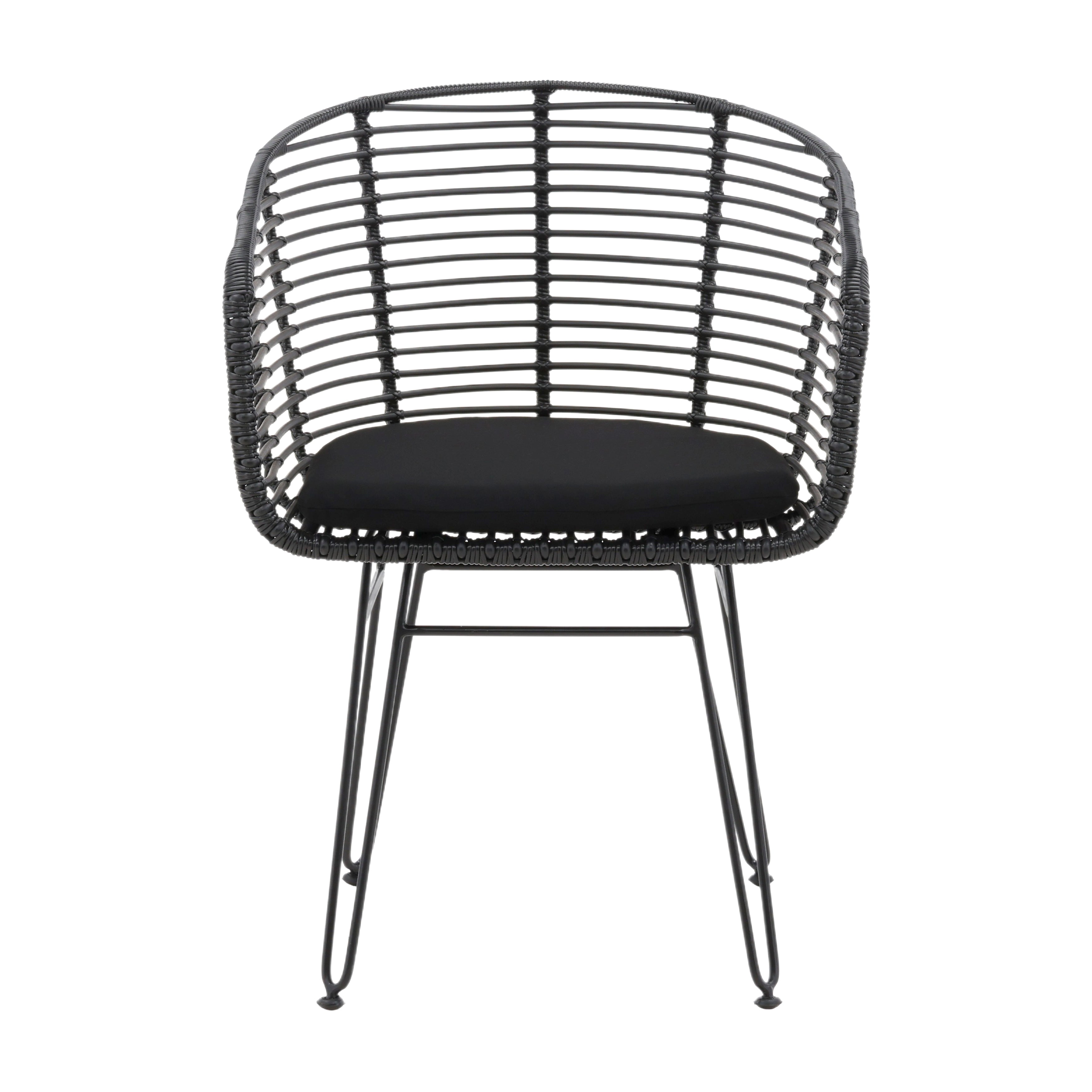 Ishani Outdoor Dining Chair Set of 2