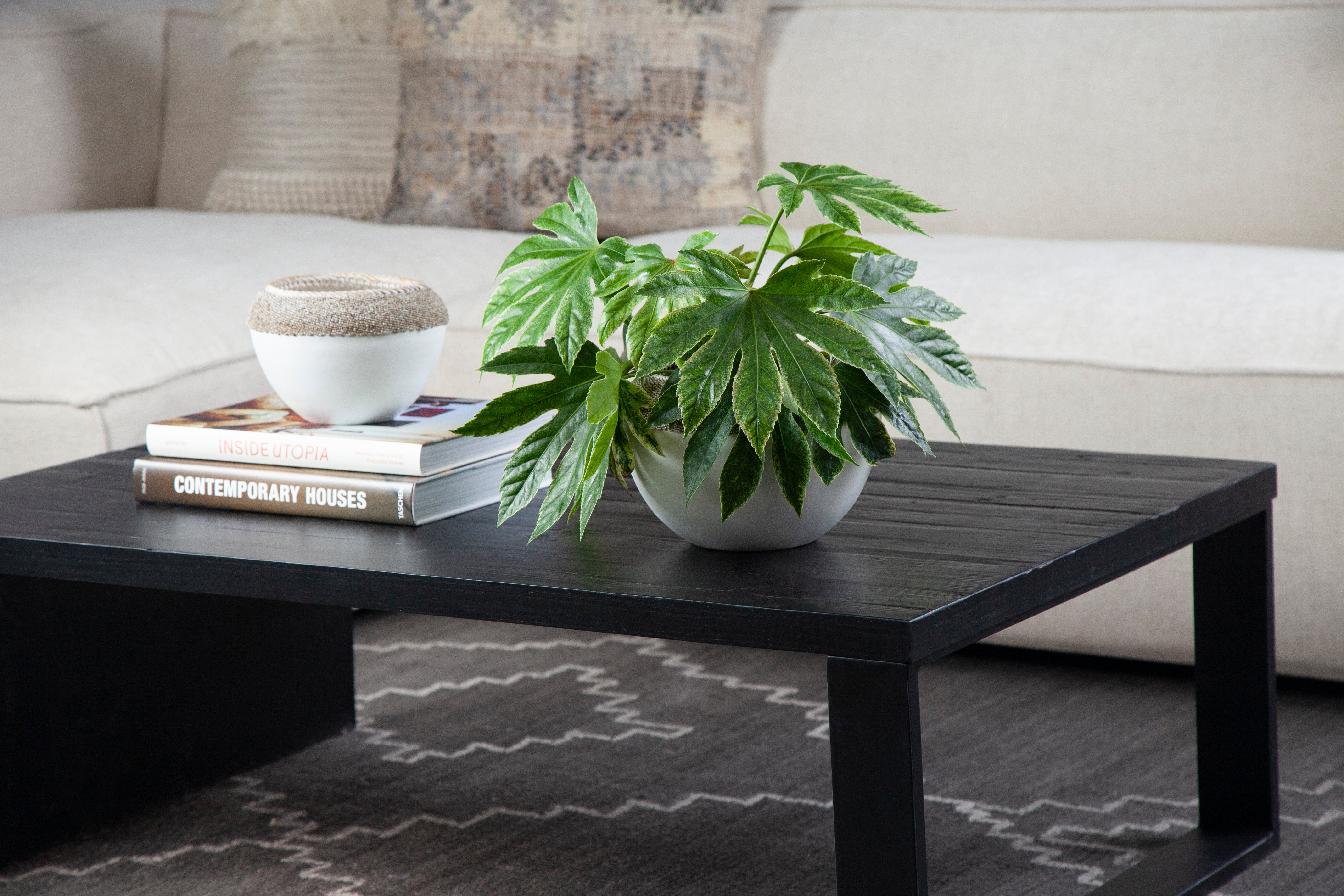 Mika Coffee Table
